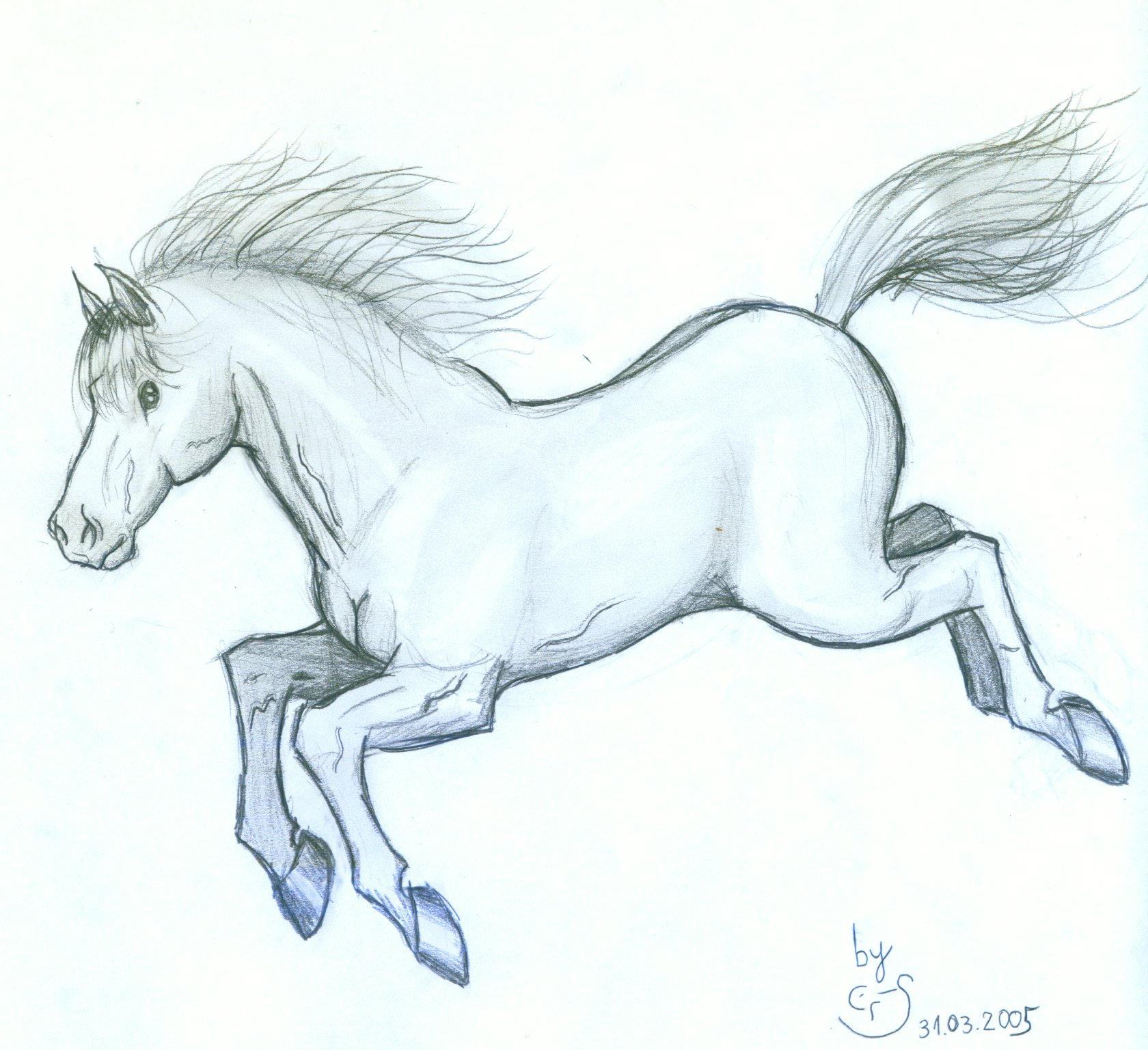 Cute Horse Drawing Pic