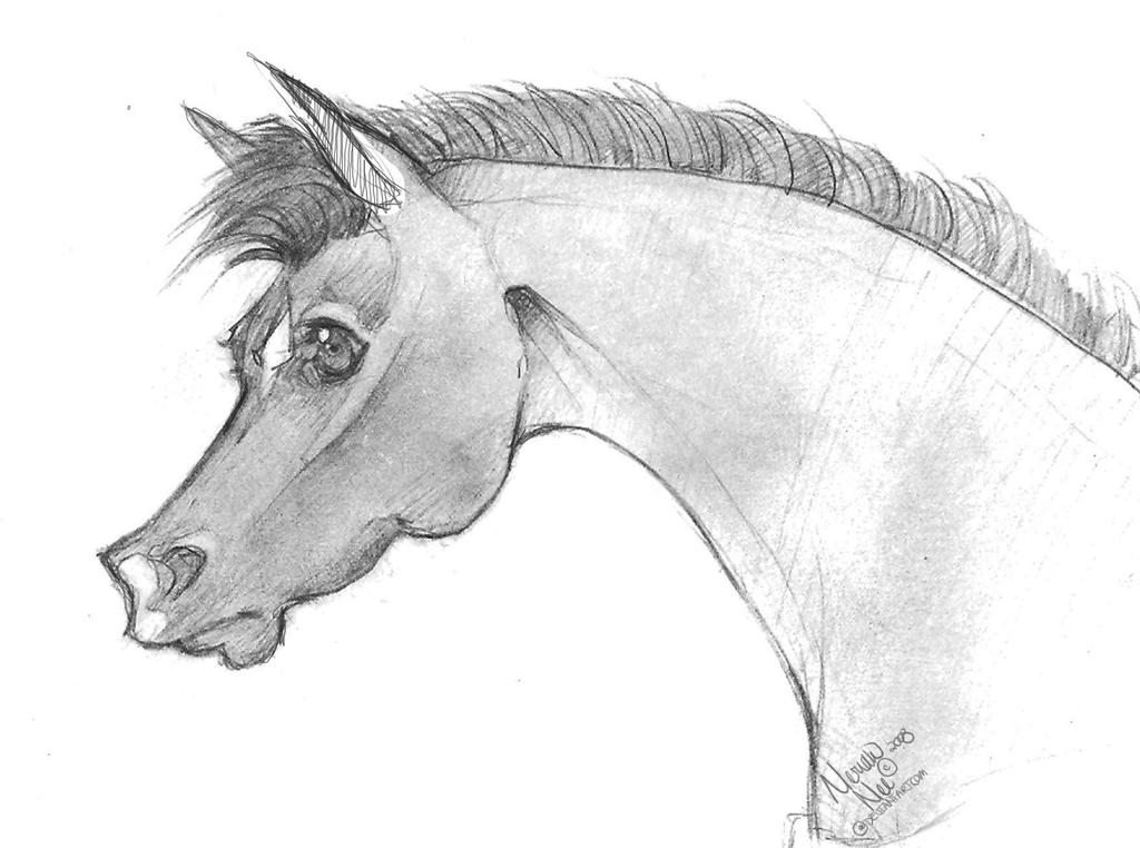Cute Horse Drawing