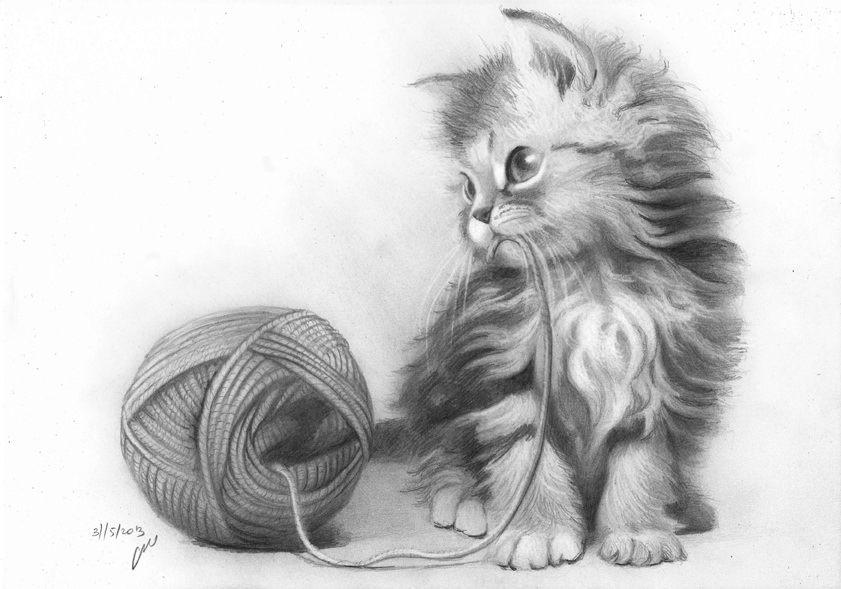 Cute Kitten Drawing Pic