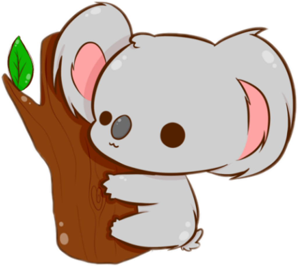 Cute Koala Drawing Pic
