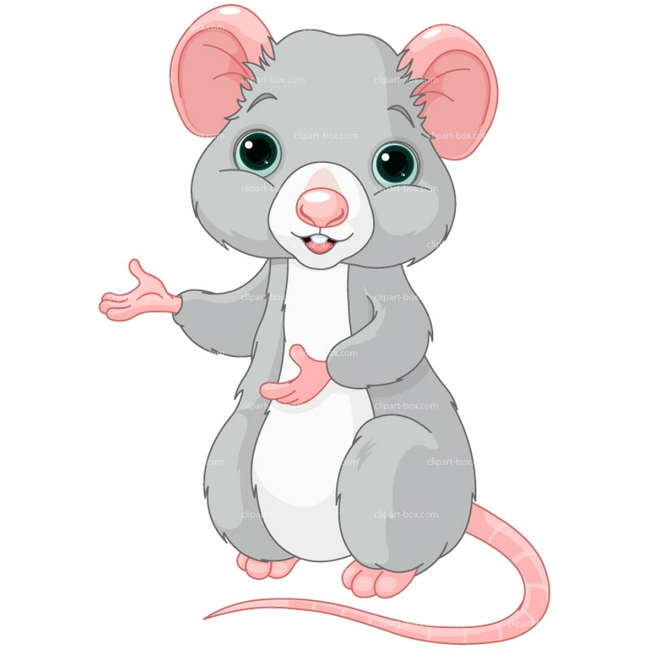 Cute Mouse Drawing Sketch