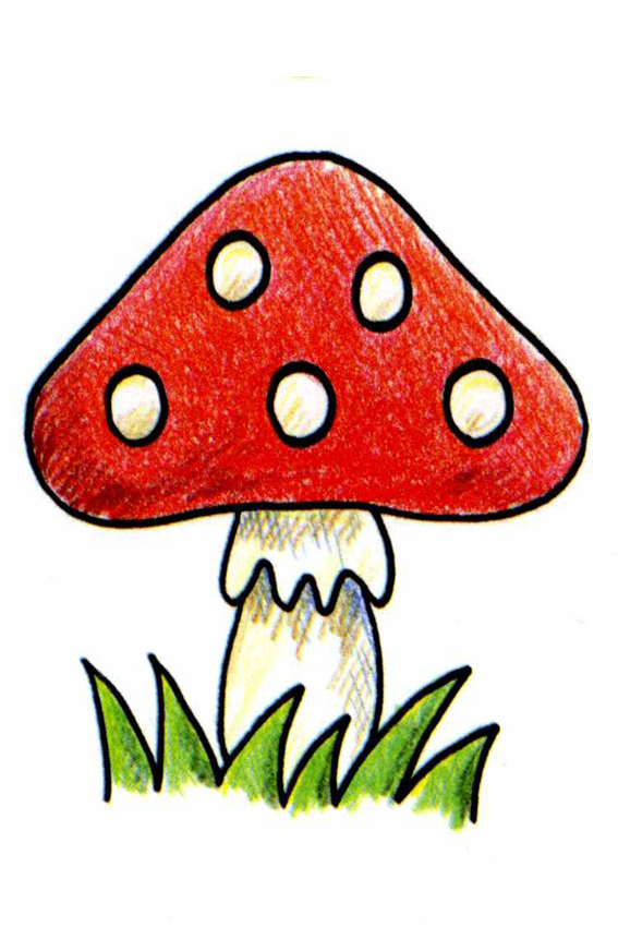 Cute Mushroom Drawing Pic