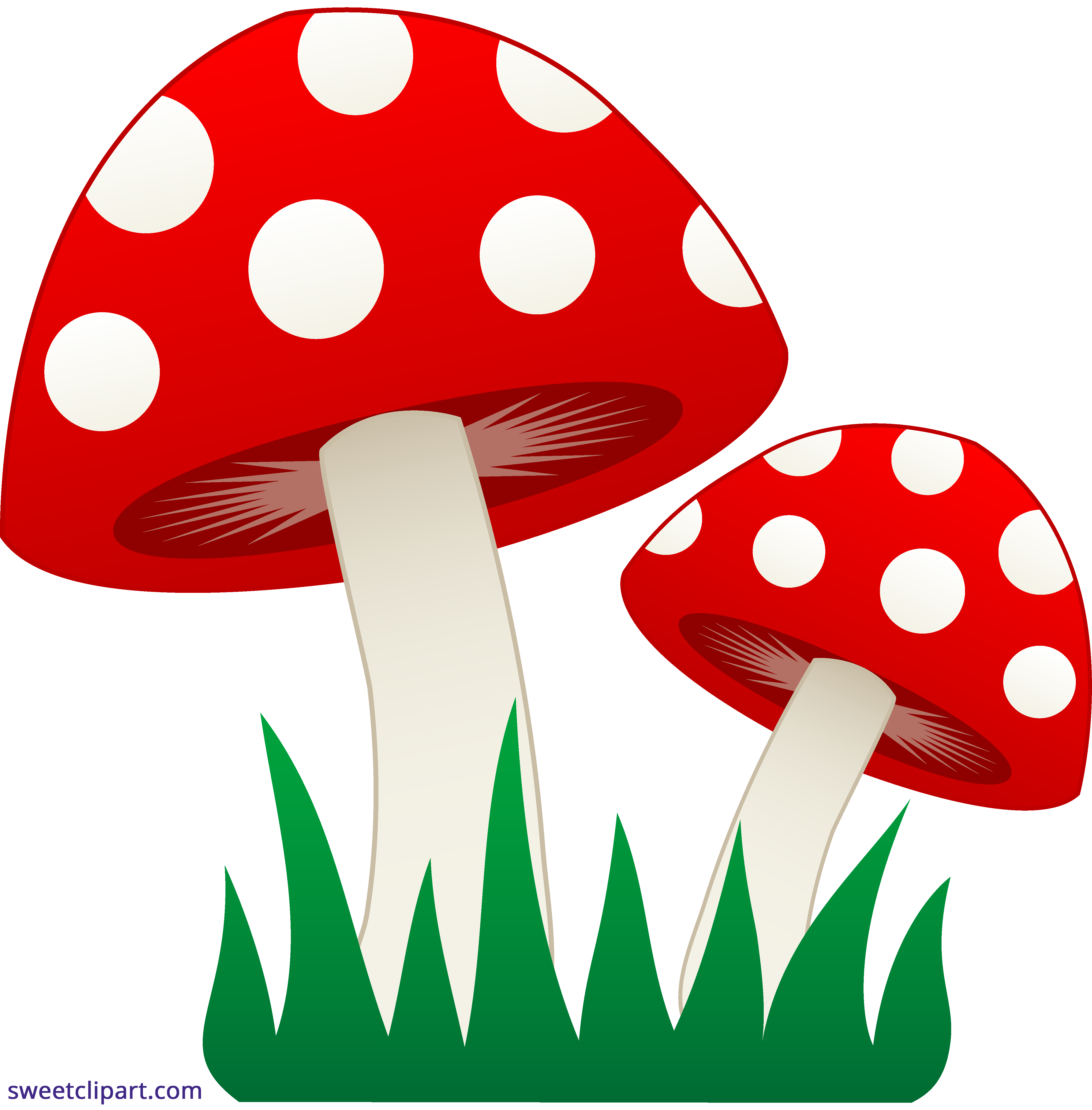 Cute Mushroom Drawing Pics