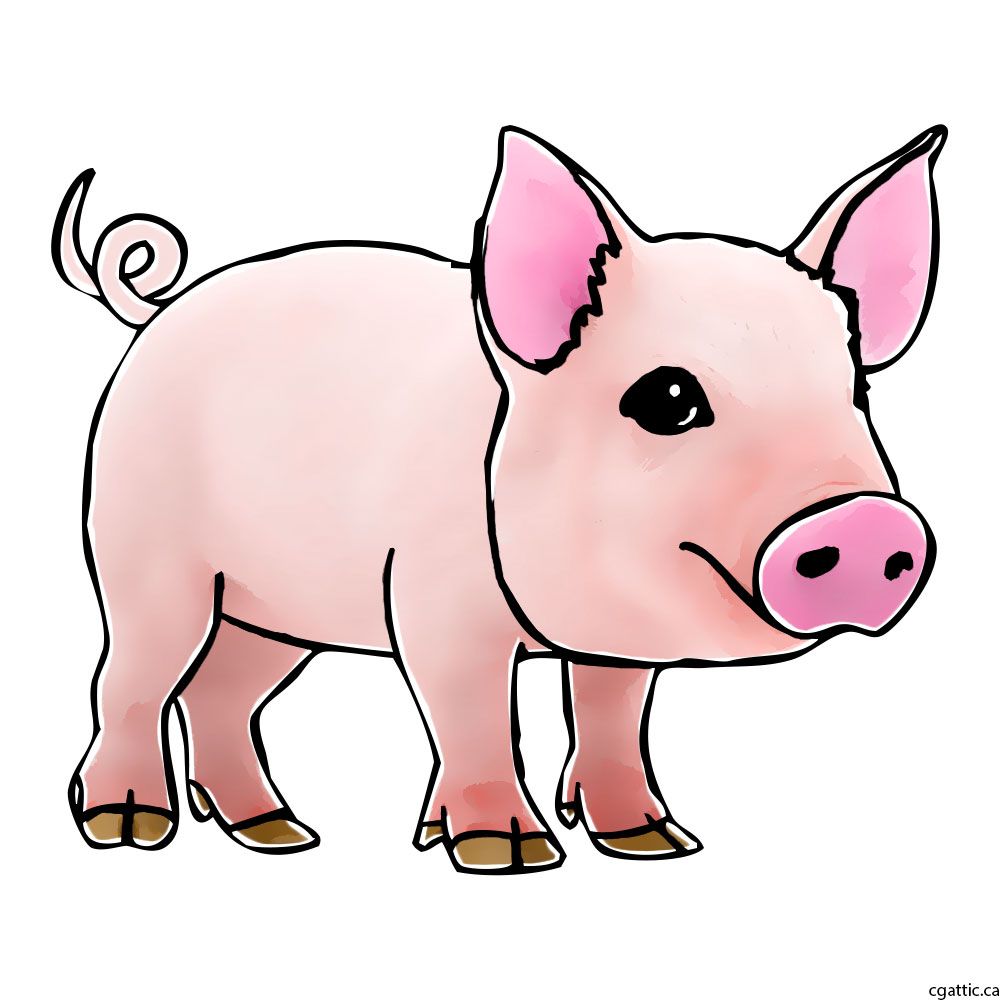 Cute Pig Drawing Pics