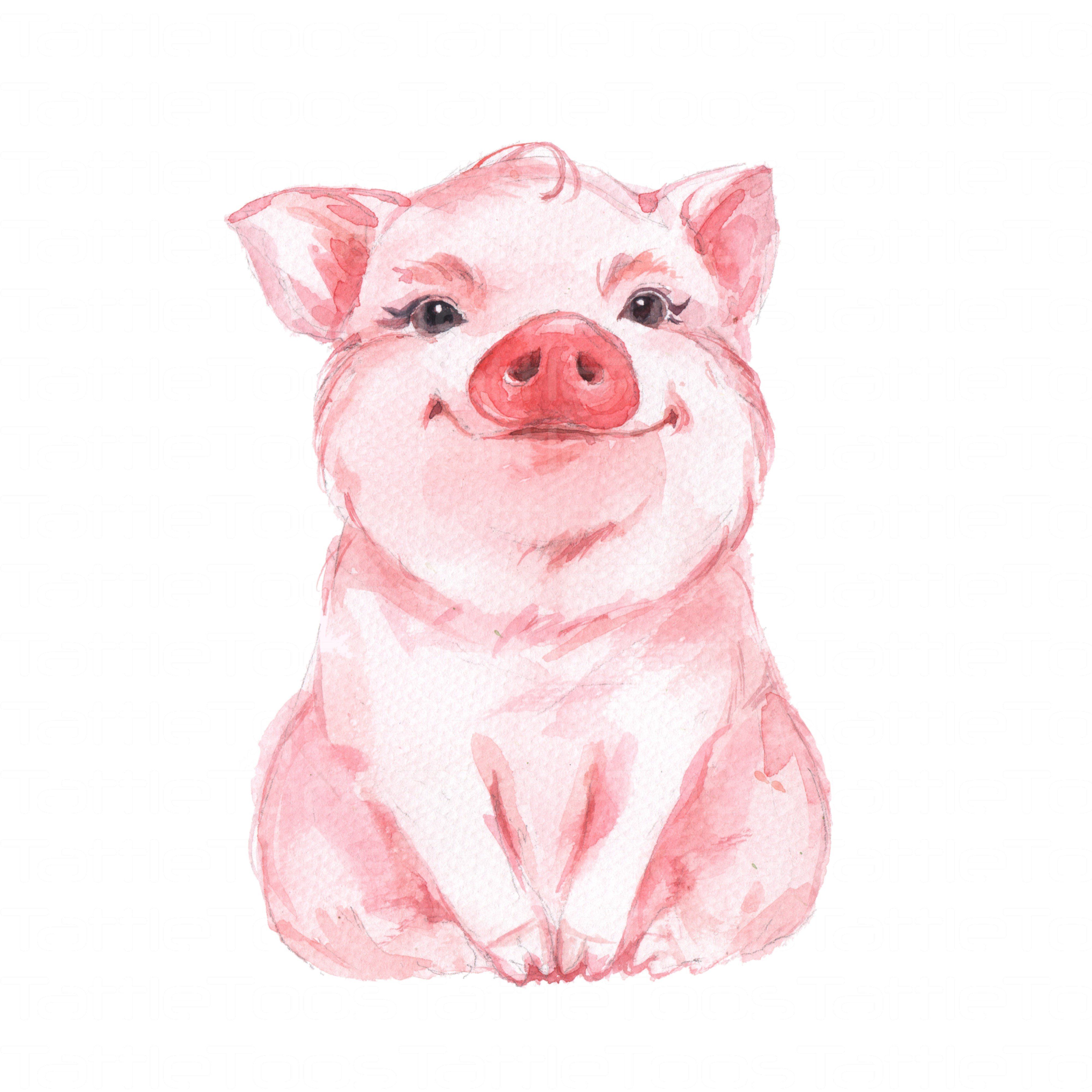 Cute Pig Drawing Sketch
