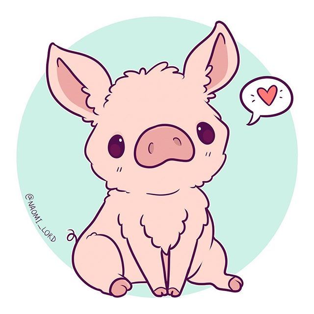 Cute Pig Drawing