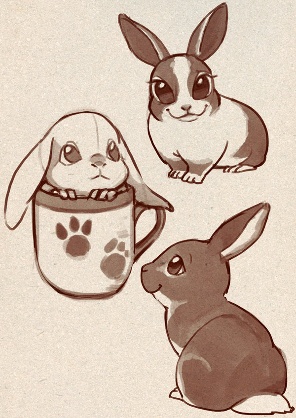 Cute Rabbit Art Drawing