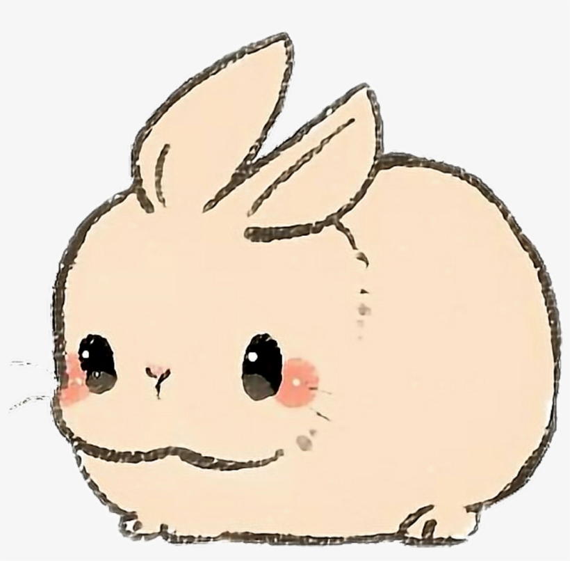 Cute Rabbit Best Drawing