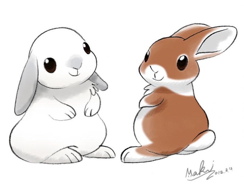 Cute Rabbit Drawing Art