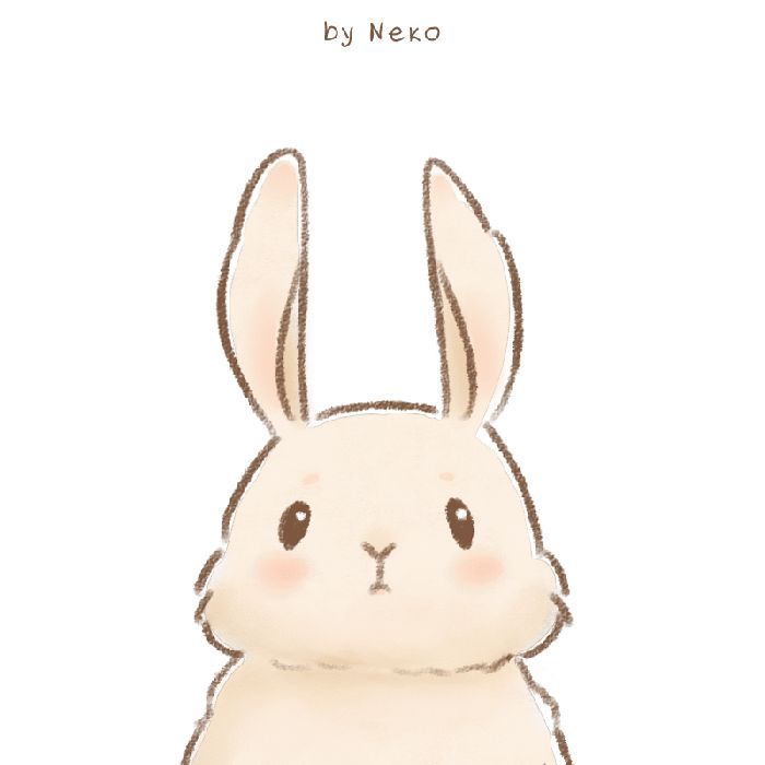 Cute Rabbit Drawing Creative Art