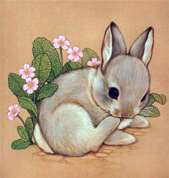 Cute Rabbit Drawing Realistic