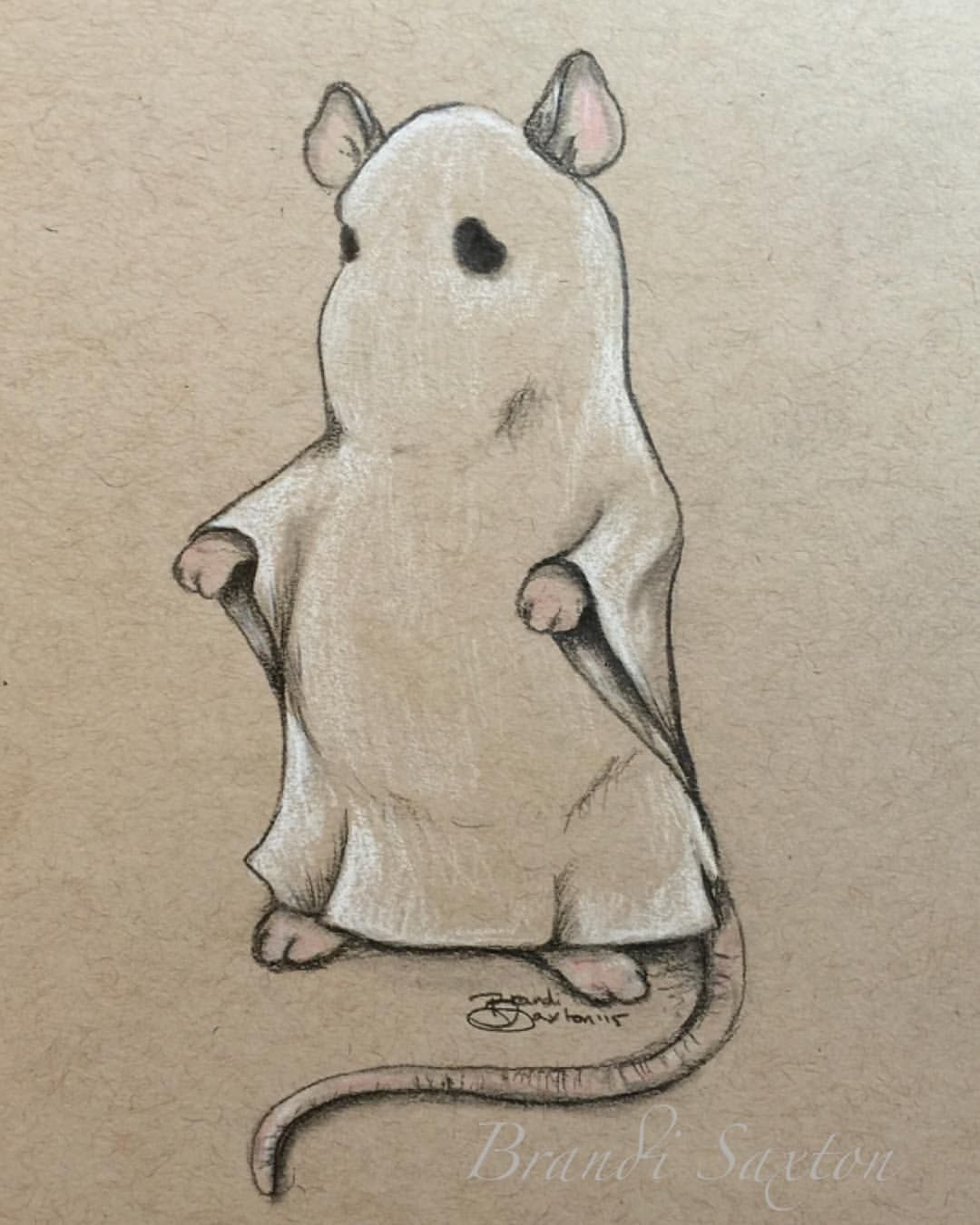 Cute Rat Drawing Image