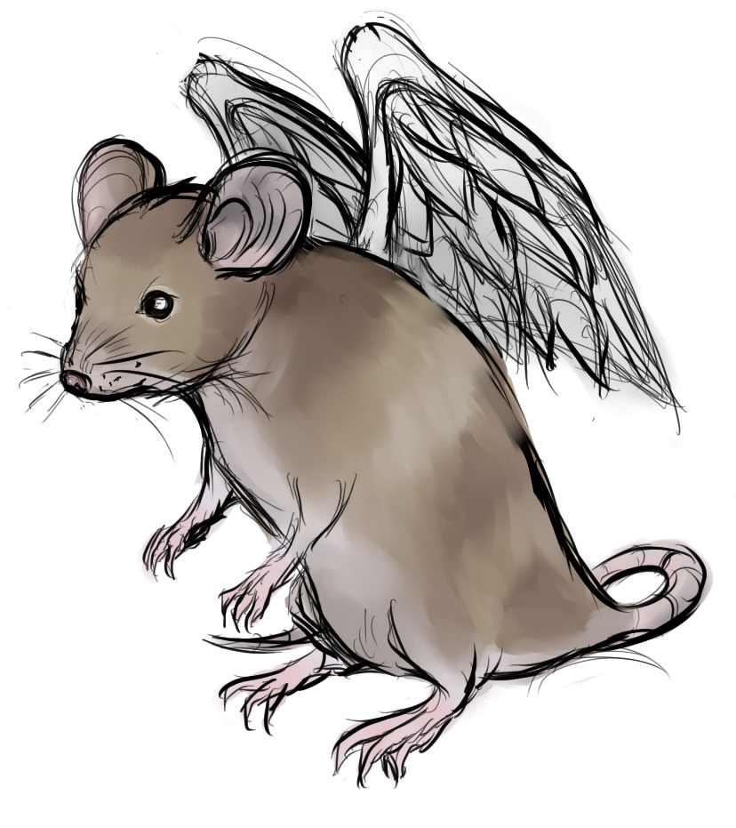 Cute Rat Drawing Pic