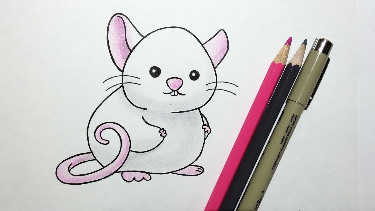 Cute Rat Drawing Pics