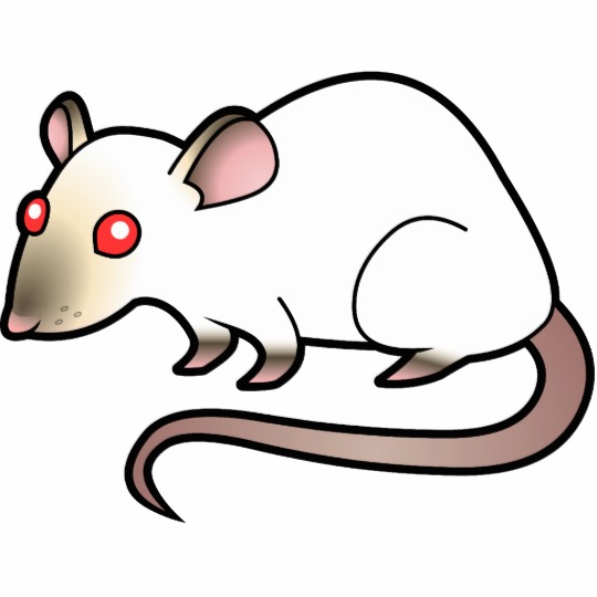 Cute Rat Drawing Sketch