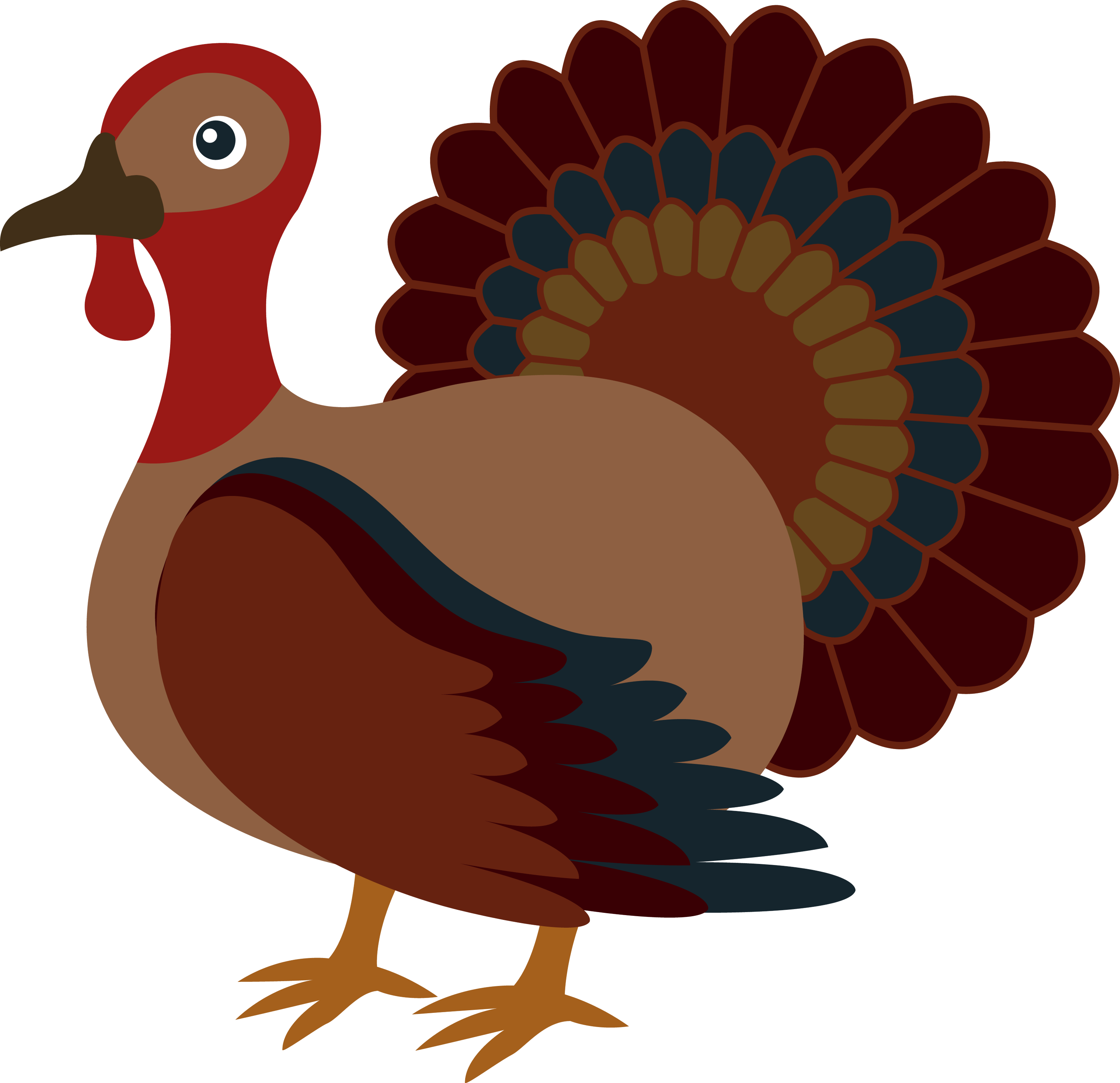 Cute Turkey Drawing Picture