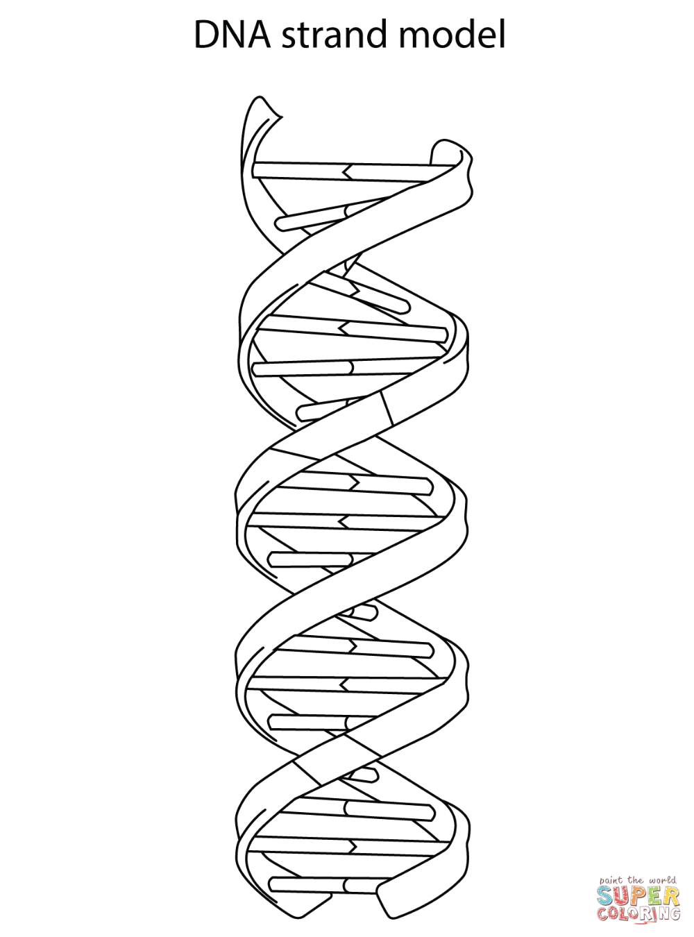 DNA Drawing Beautiful Image
