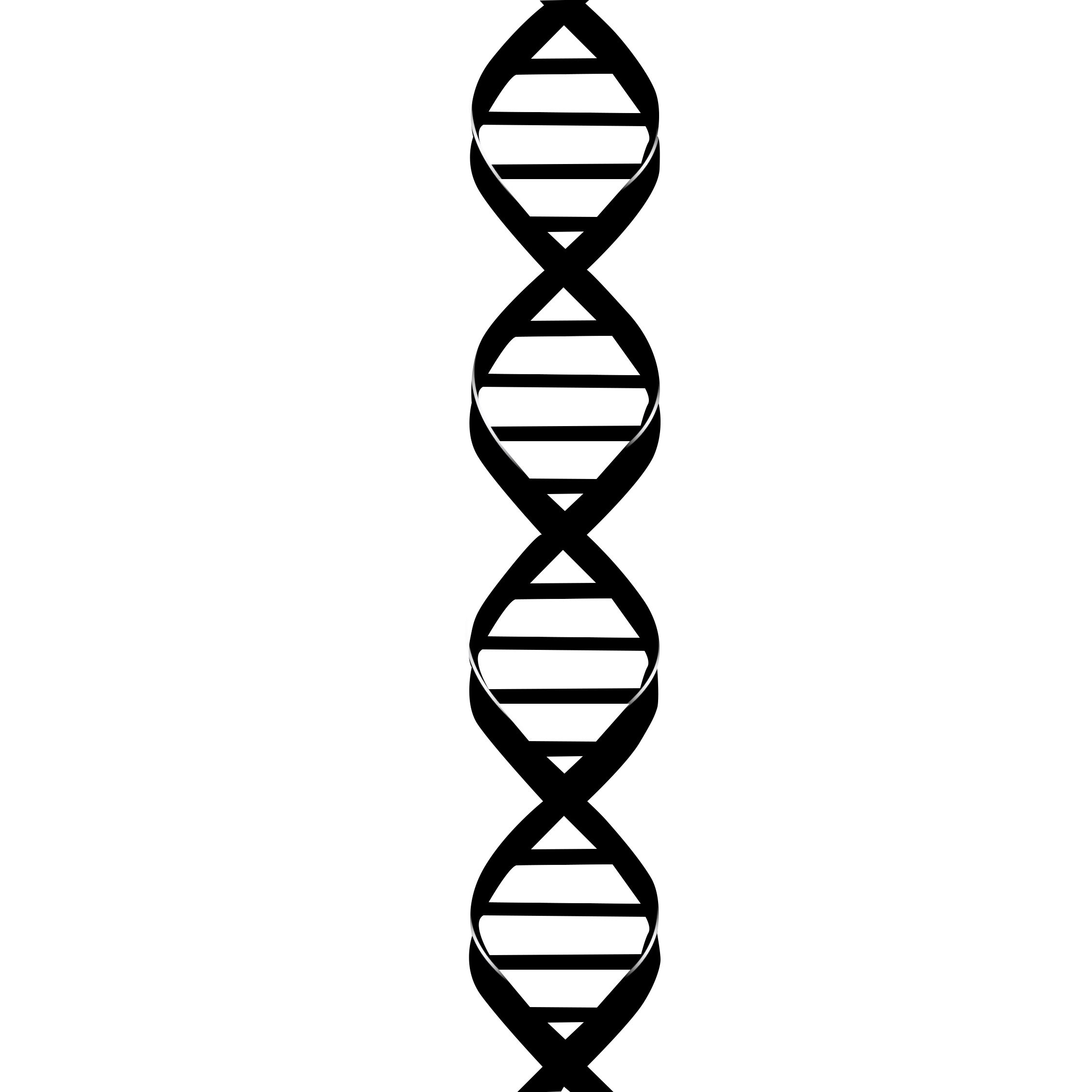 DNA Drawing High-Quality