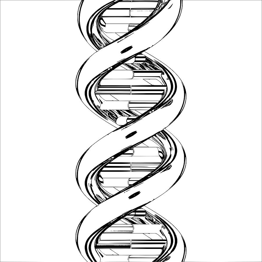 DNA Drawing Photo