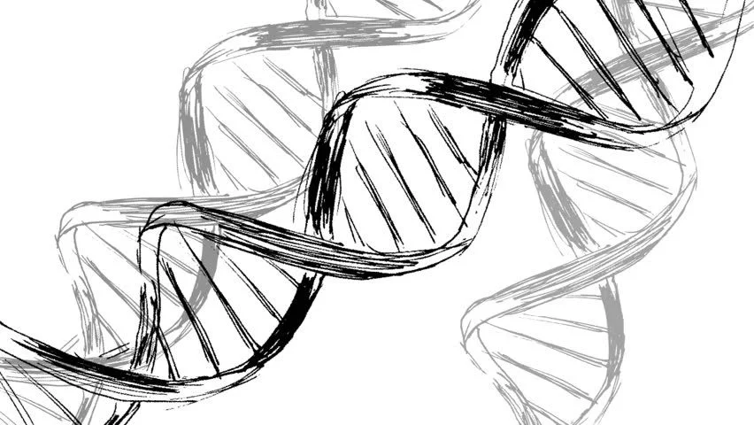 DNA Drawing Pic