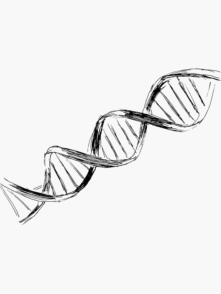 DNA Drawing Pics