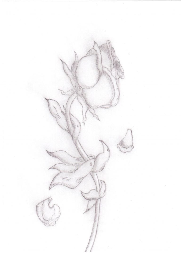 Dead Flower Drawing Amazing