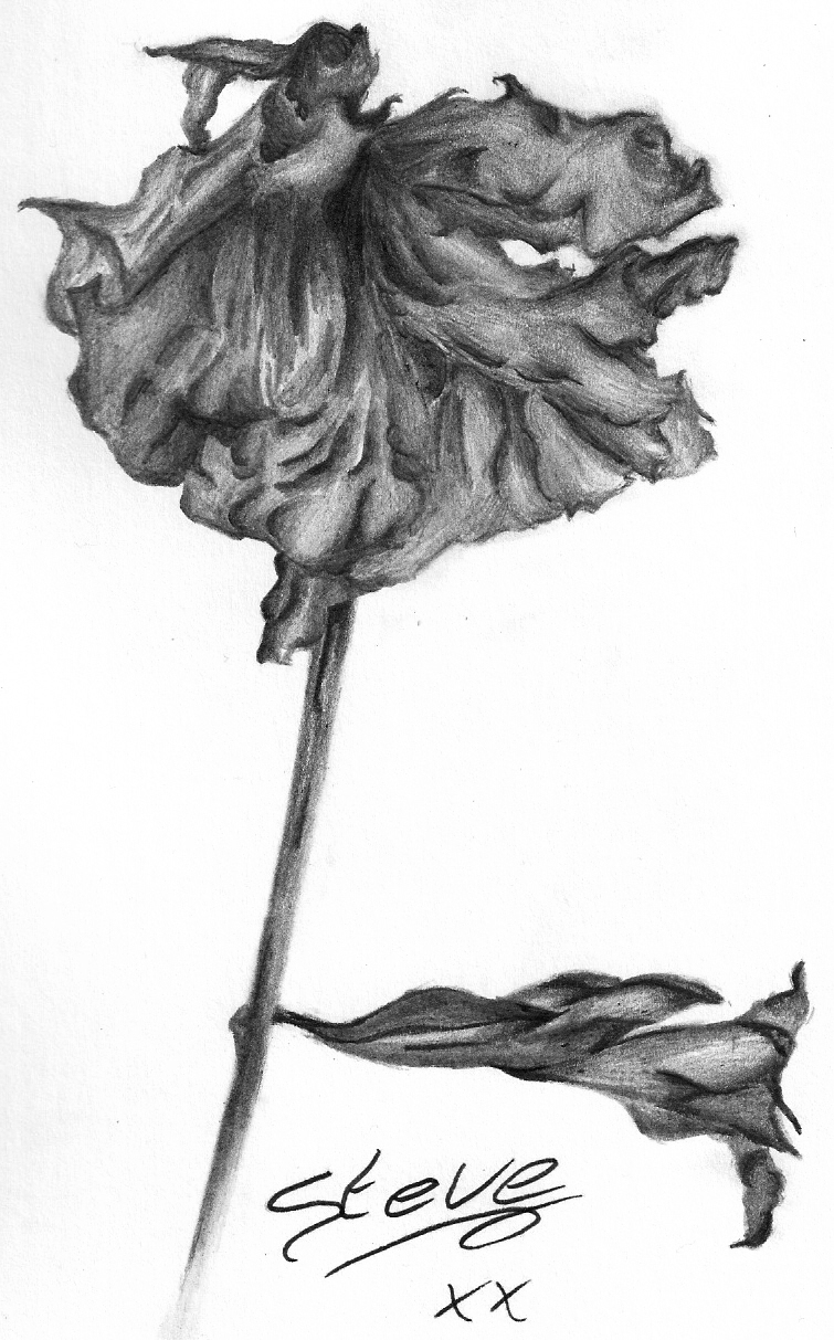 Dead Flower Drawing Pic