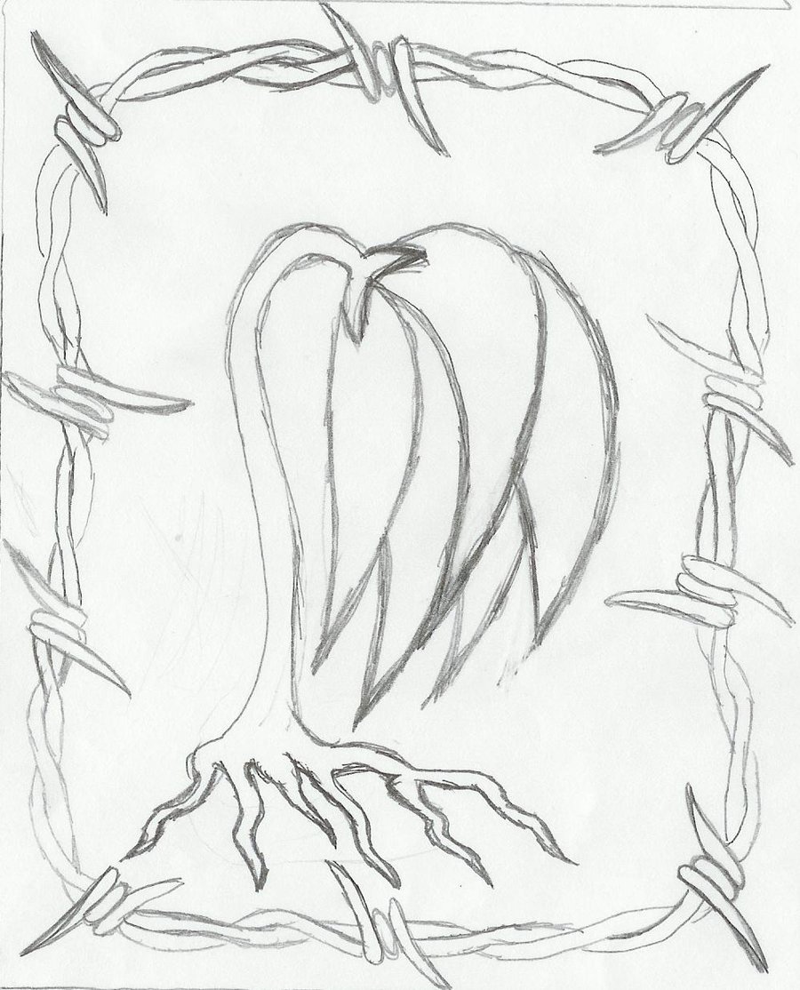Dead Flower Drawing Picture