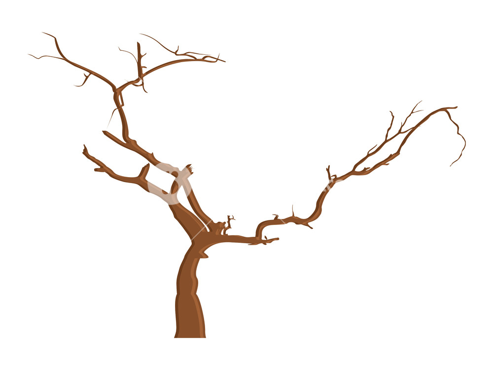 Dead Tree Best Drawing