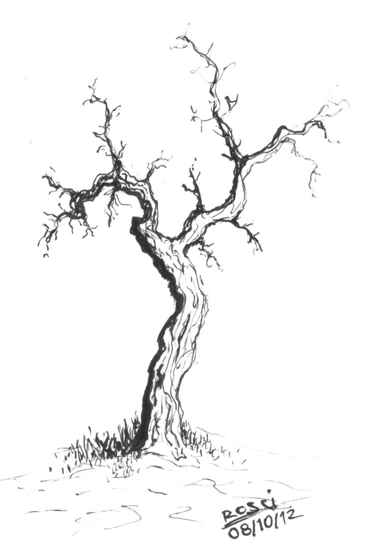 creepy dead tree sketch