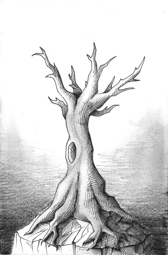 Dead Tree Drawing Photos