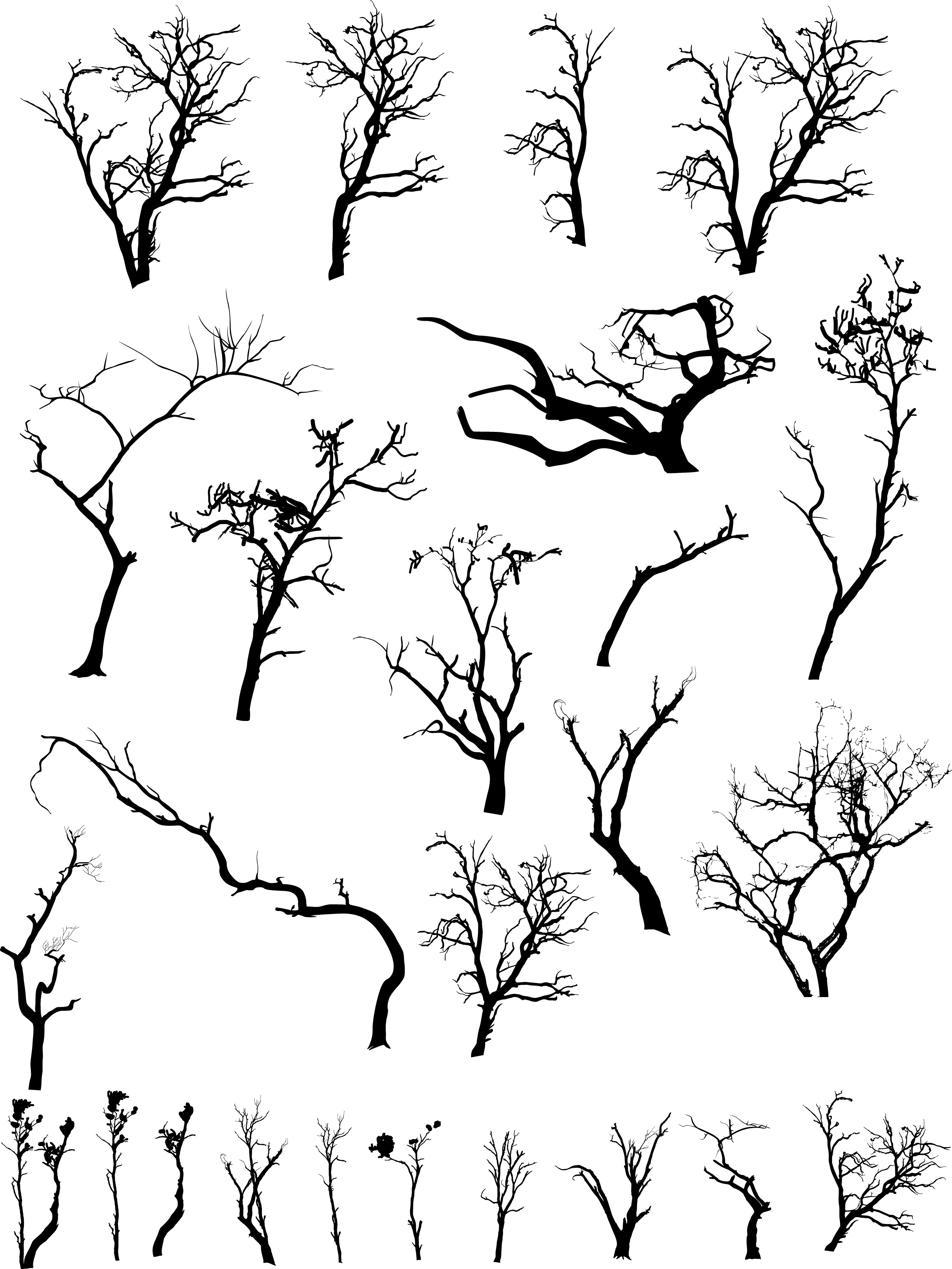 Dead Tree Drawing Pic