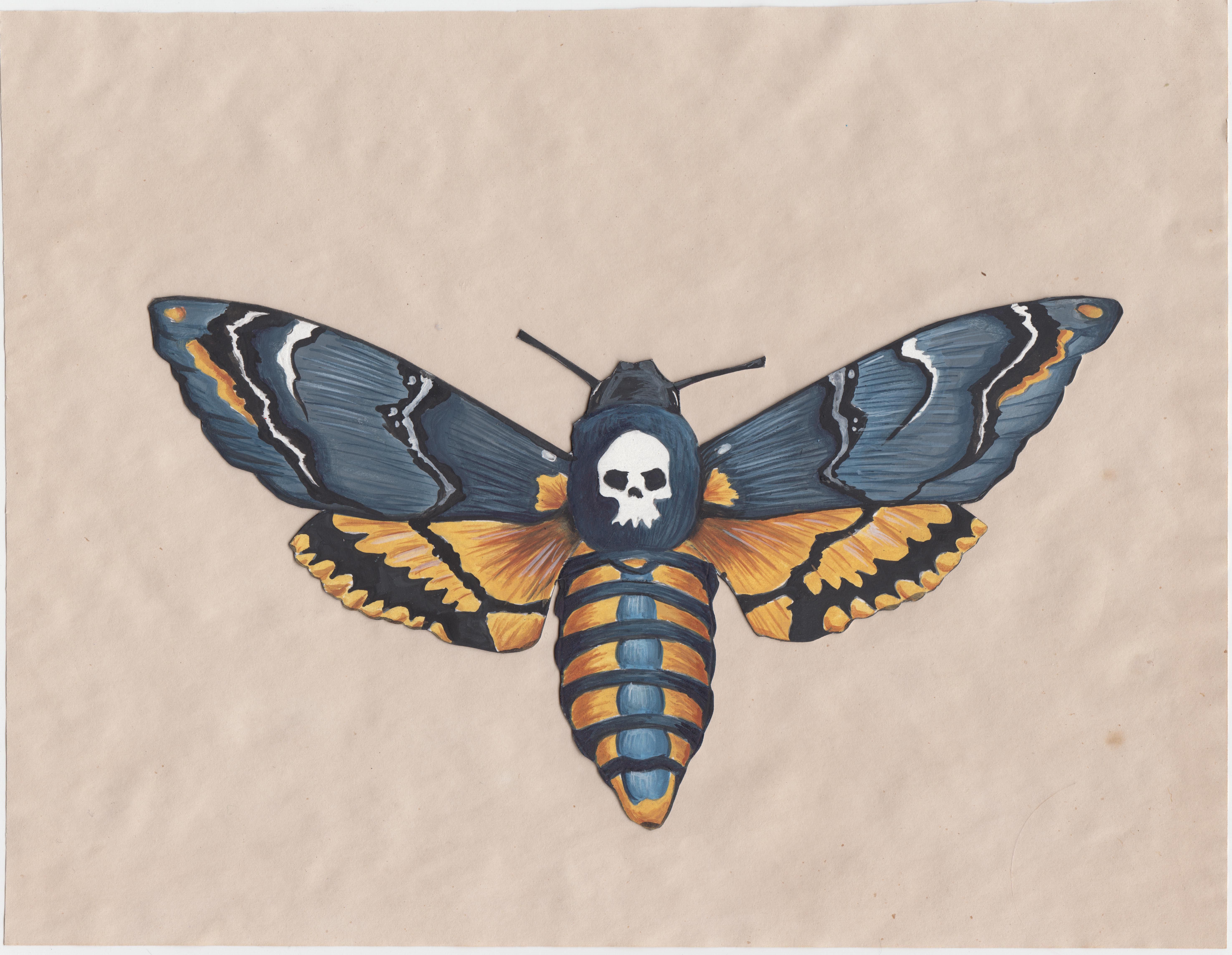 Death Moth Best Drawing