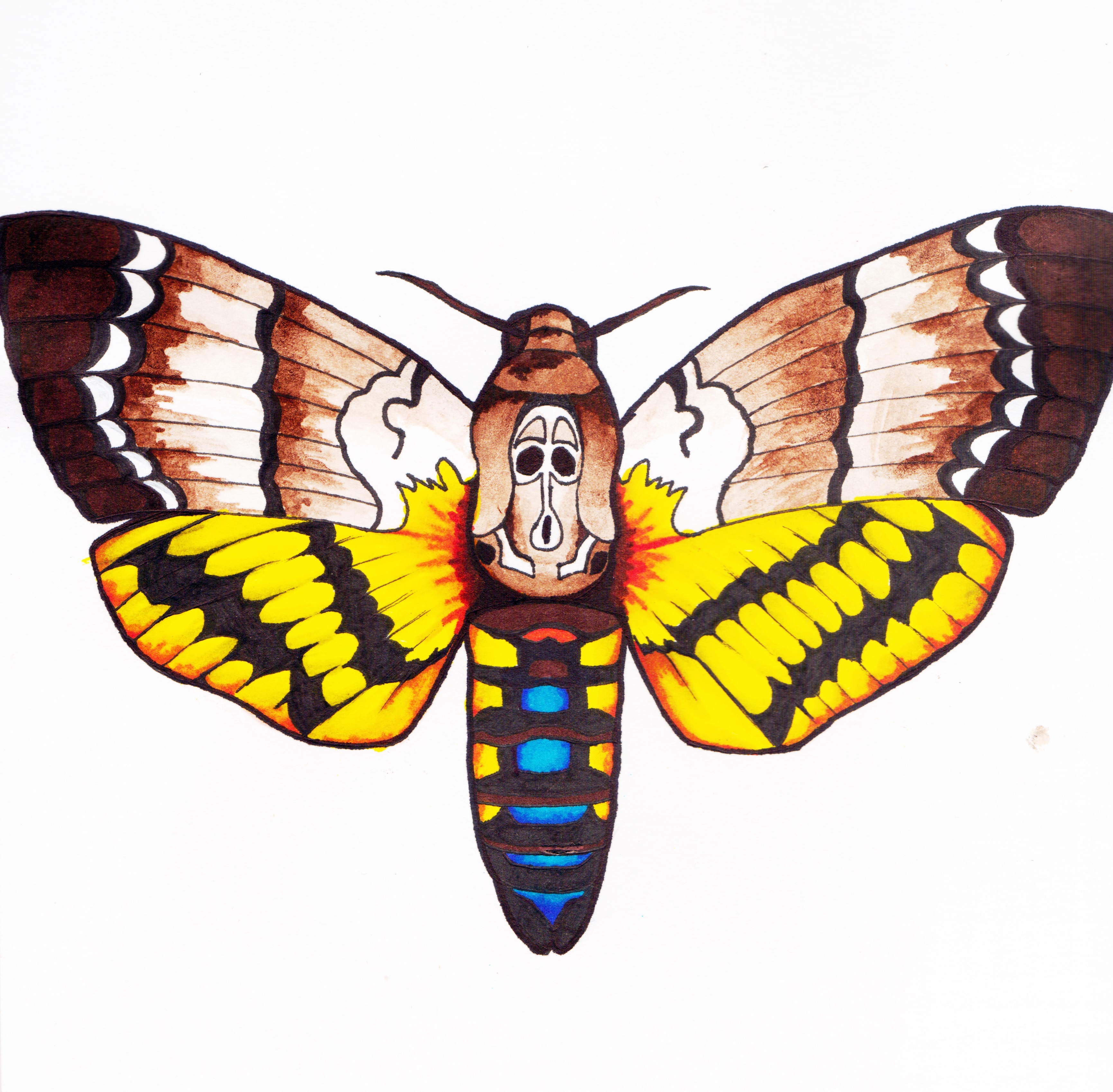 Death Moth Drawing Beautiful Image