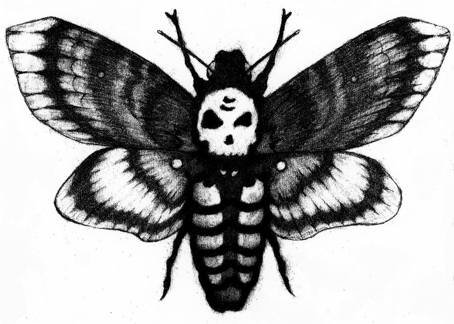 Death Moth Drawing Images