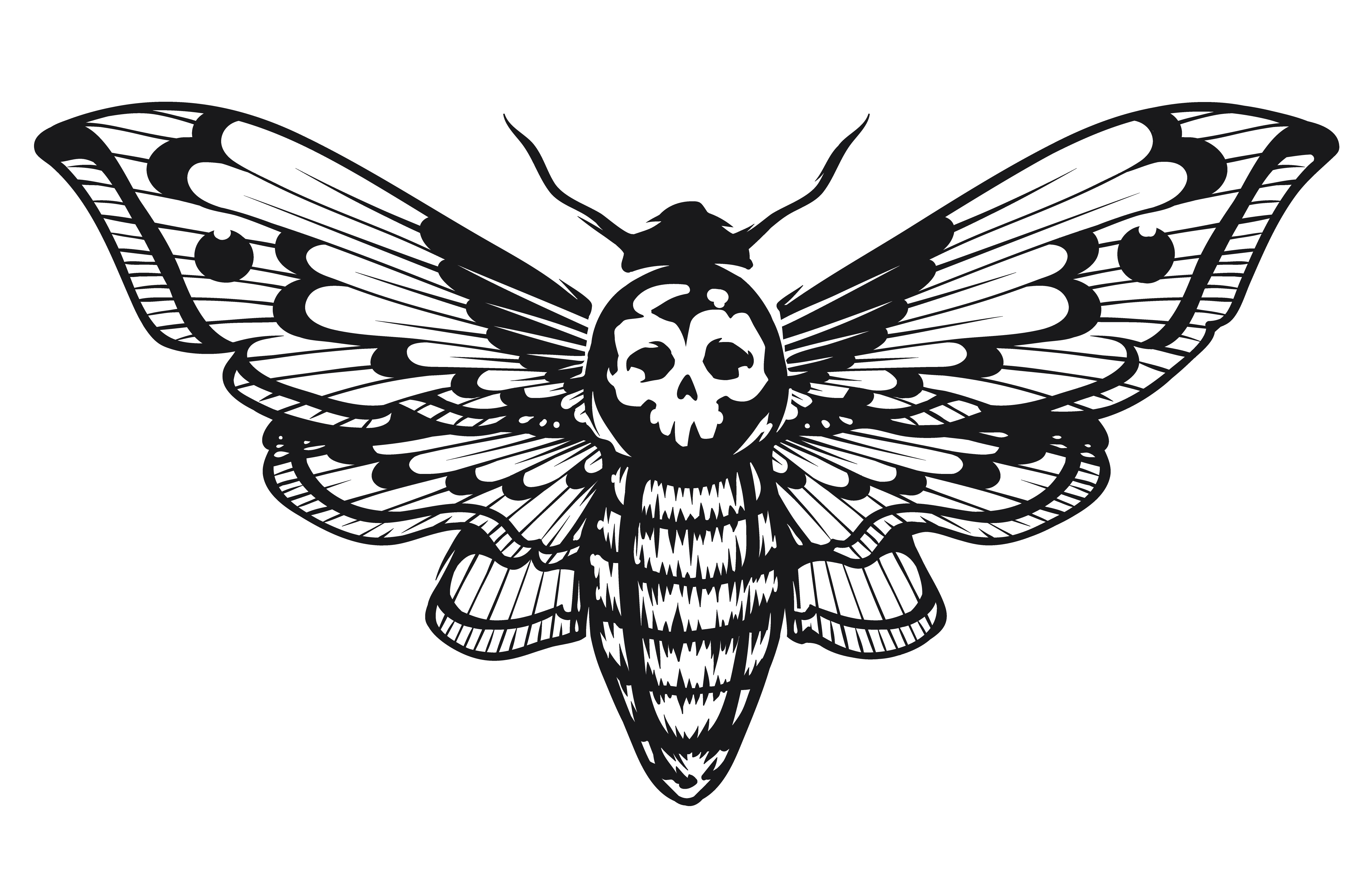 Death Moth Drawing Sketch