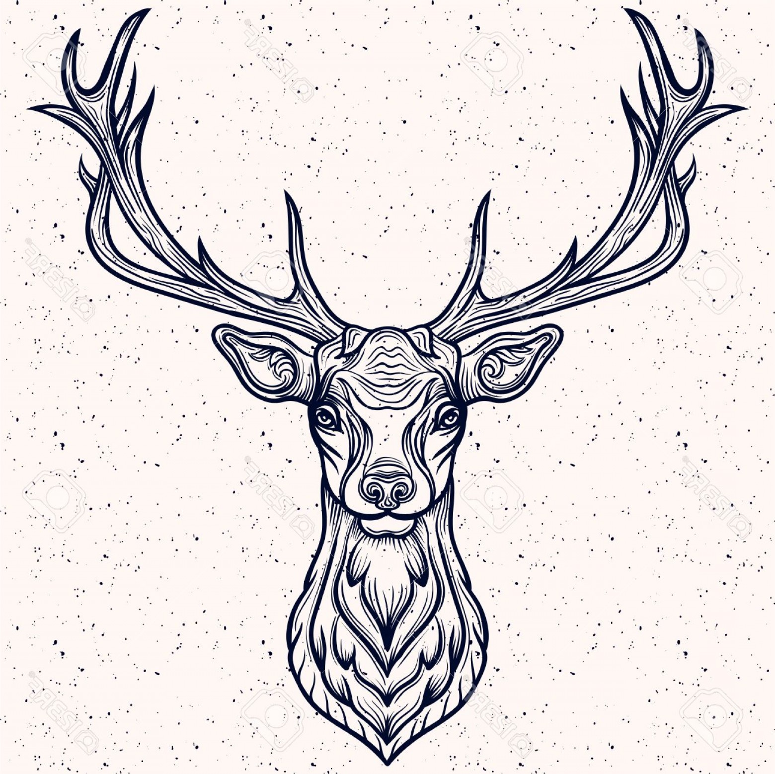 Deer Antler Best Drawing
