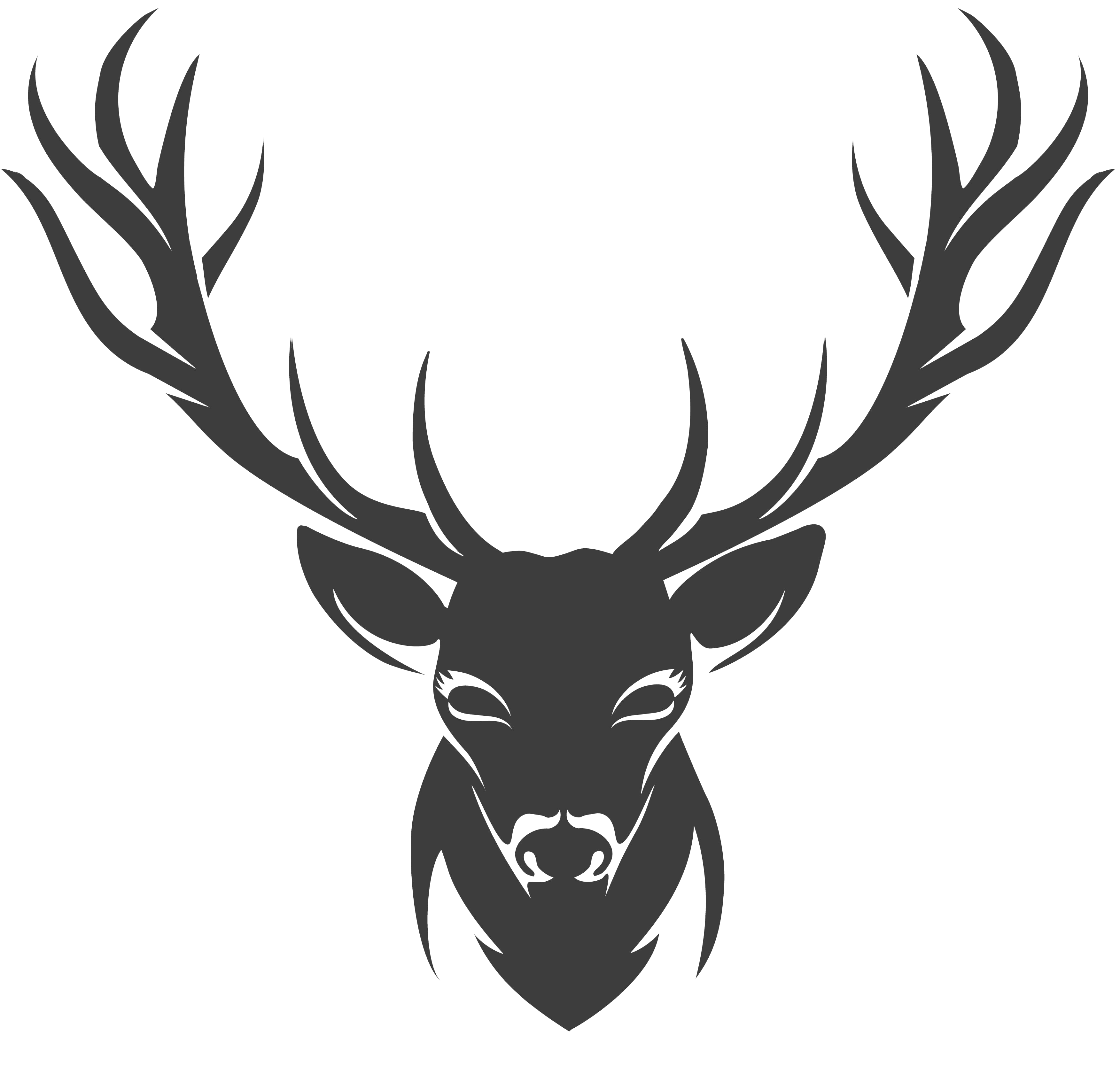 Deer Antler Drawing High-Quality