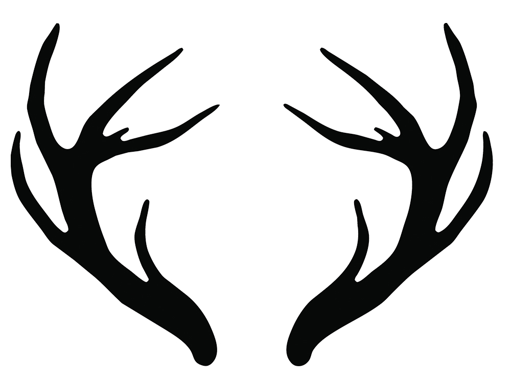Deer Antler Drawing Picture
