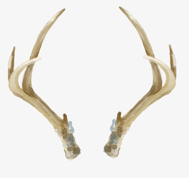 Deer Antler Drawing Pictures