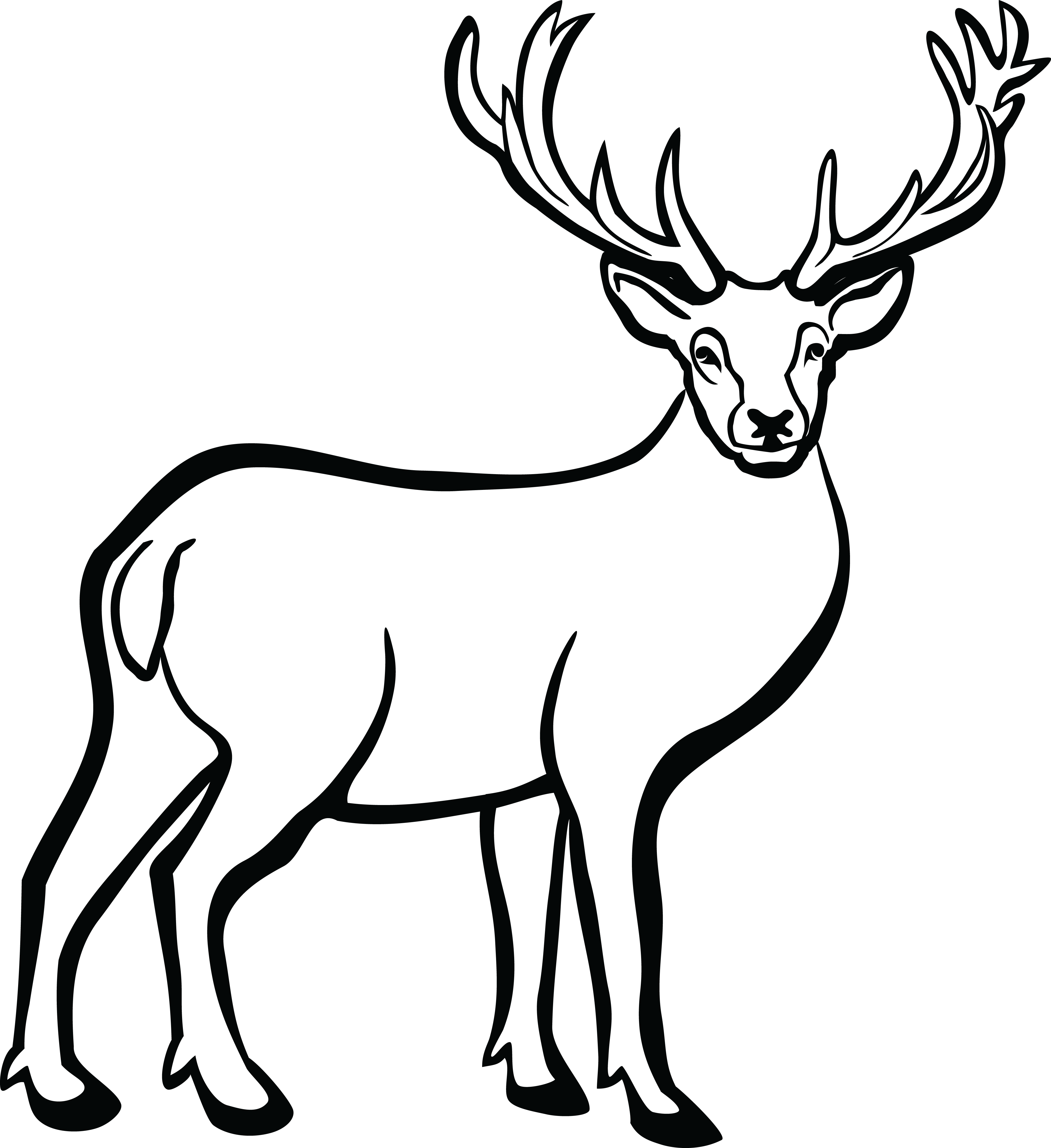 Deer Antler Drawing