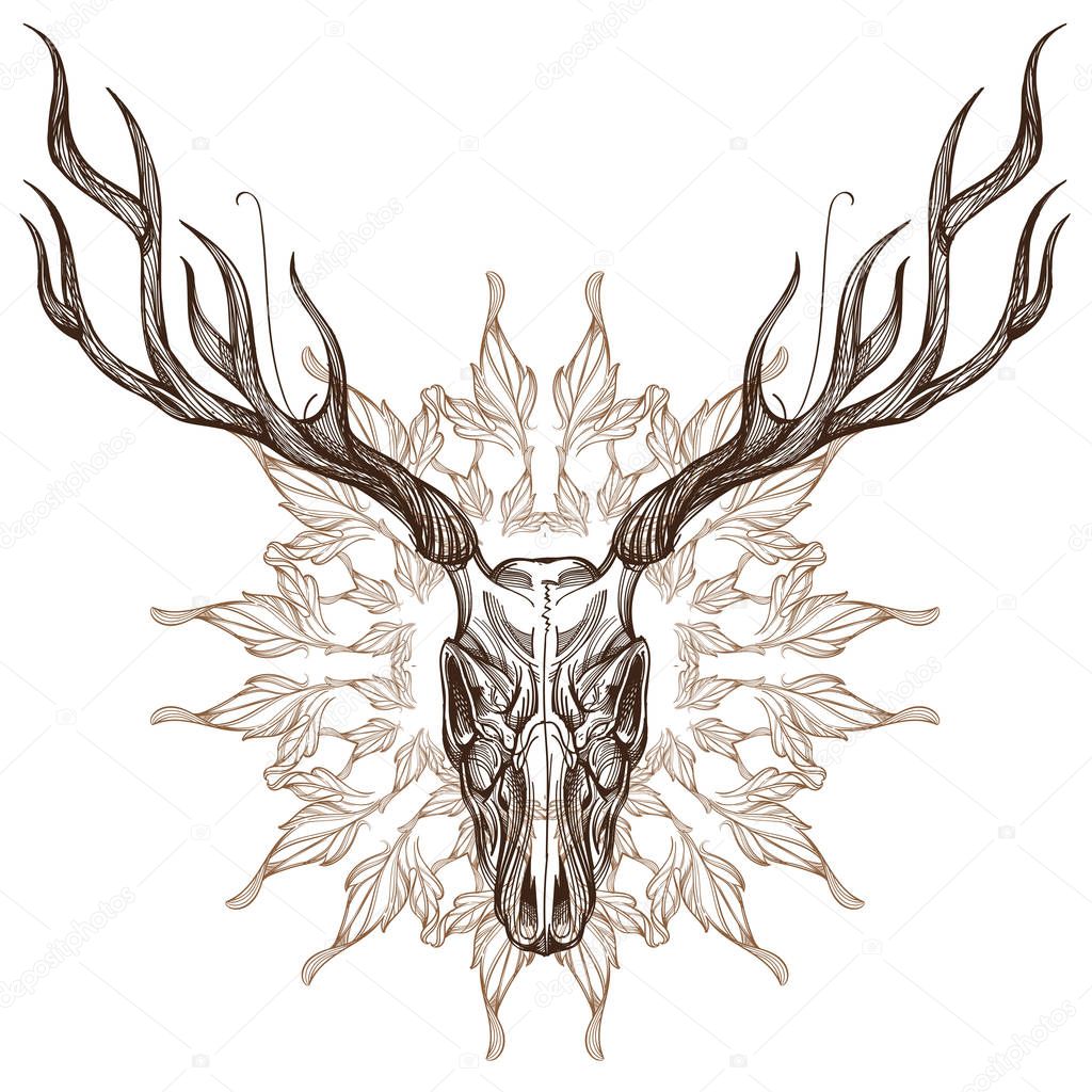 Deer Skull Drawing Art