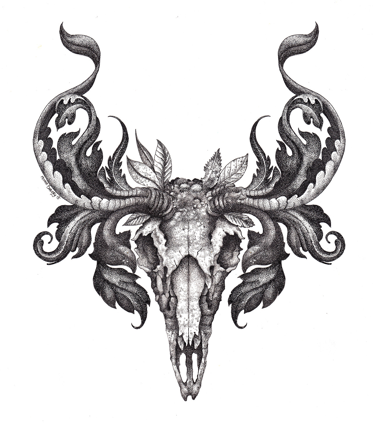 Deer Skull Drawing Image