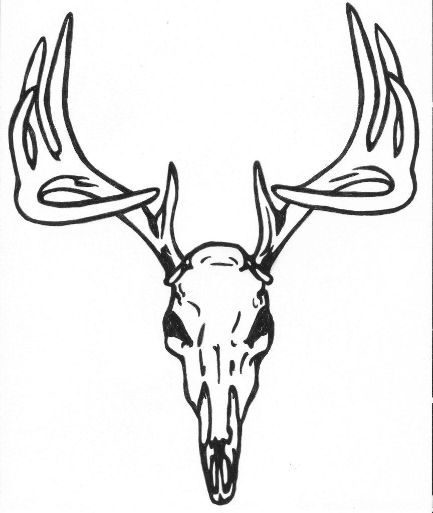 Deer Skull Drawing Photo