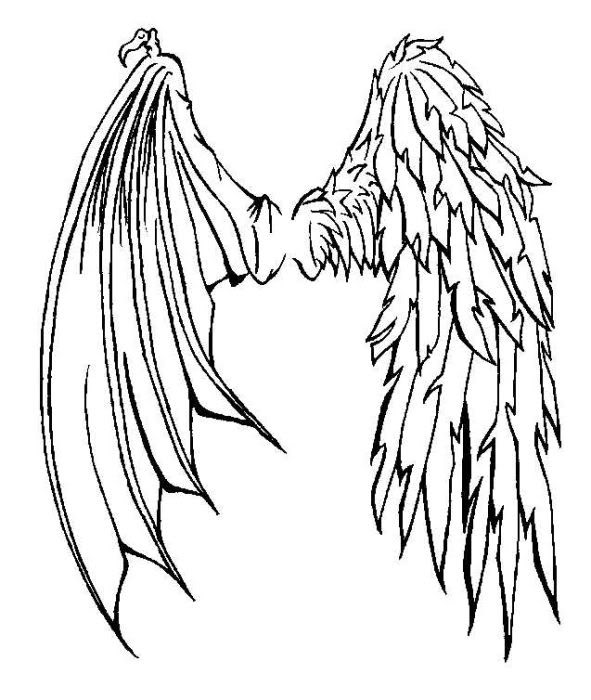 Demon Wing Drawing Image