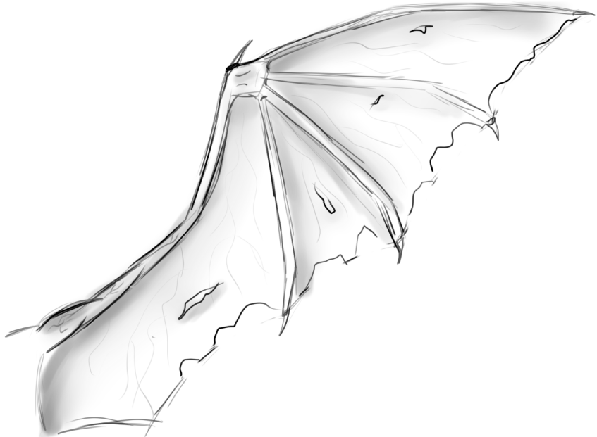 Demon Wing Drawing Realistic