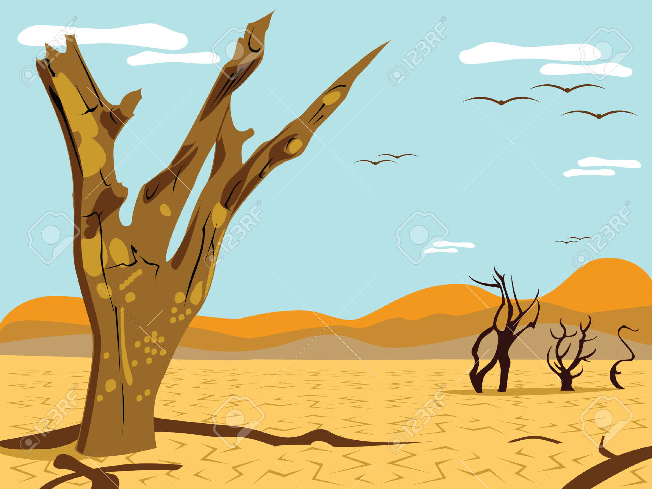 Desert Drawing Photos