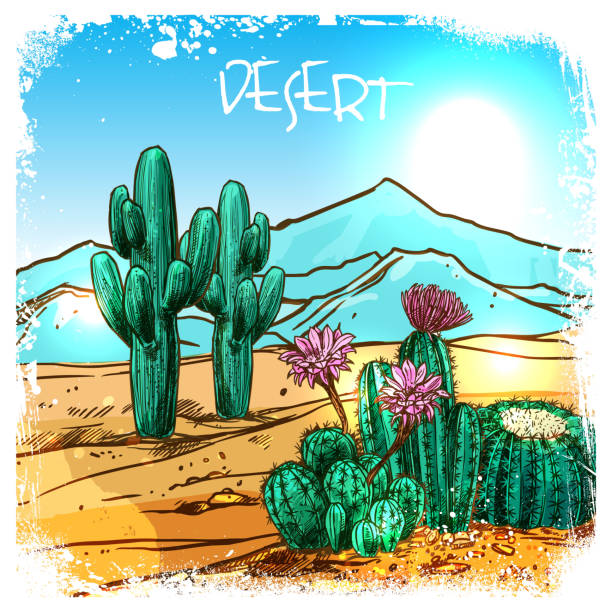 Desert Drawing Picture