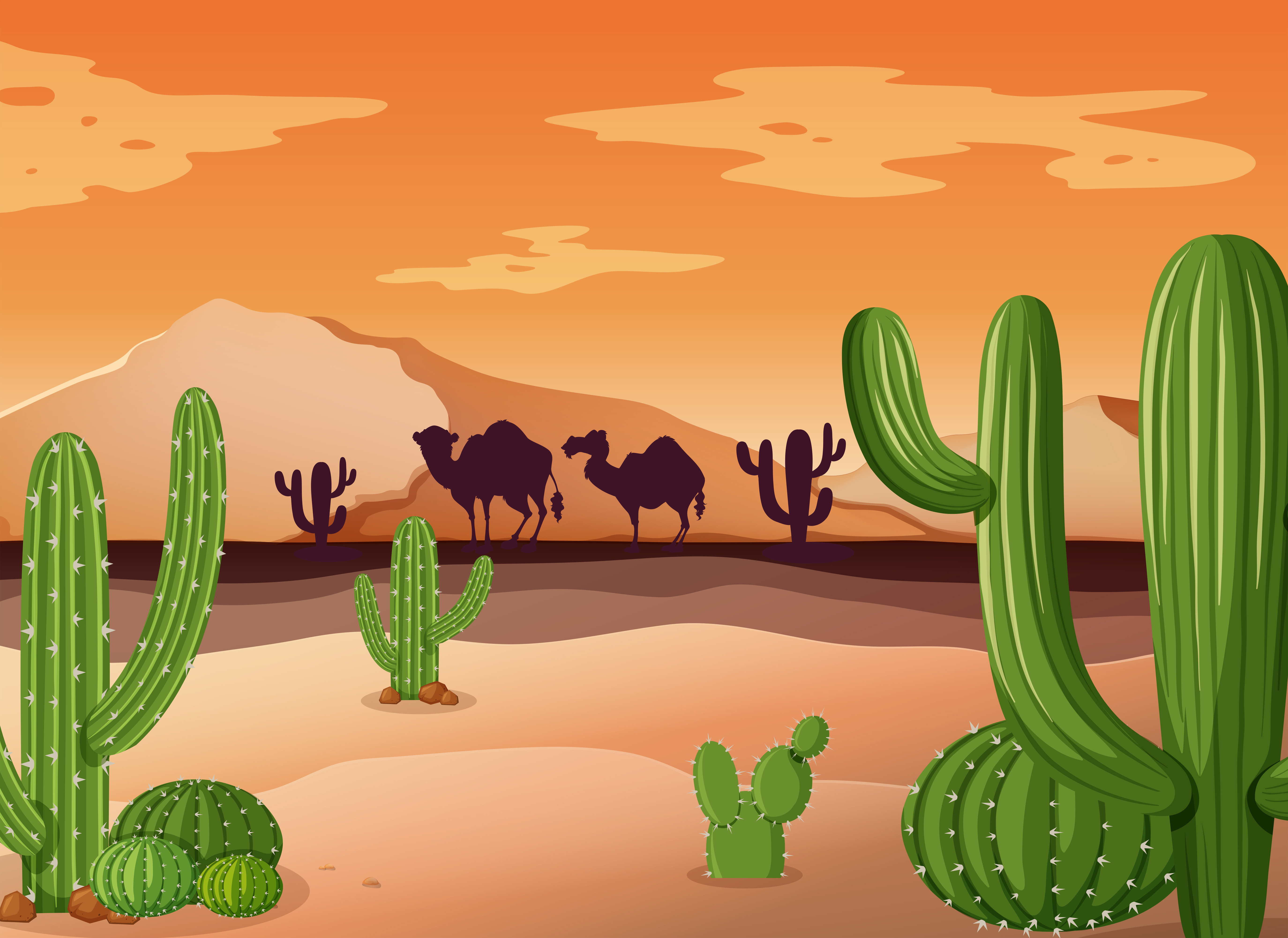 Desert Drawing Pictures