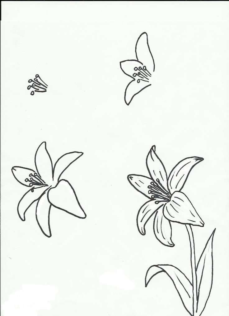 Different Flower Art Drawing